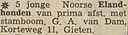 1959-07-18-1-NvhN.jpg
