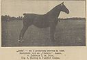 1931-07-14-1-DNO.jpg