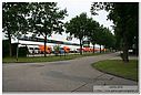 IMG_0835.jpg