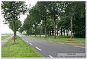 IMG_0984.jpg