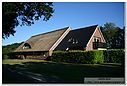 IMG_1007.jpg