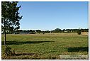 IMG_1038.jpg