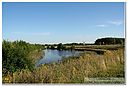 IMG_1044.jpg